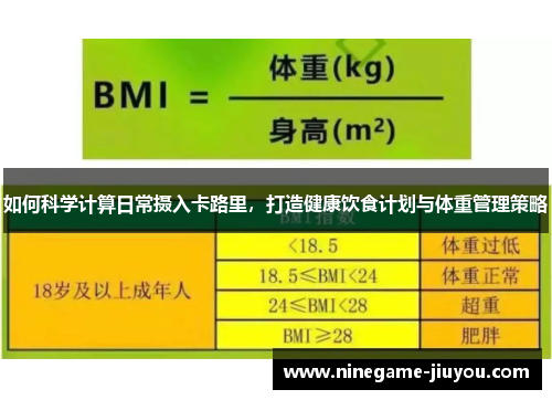 如何科学计算日常摄入卡路里，打造健康饮食计划与体重管理策略